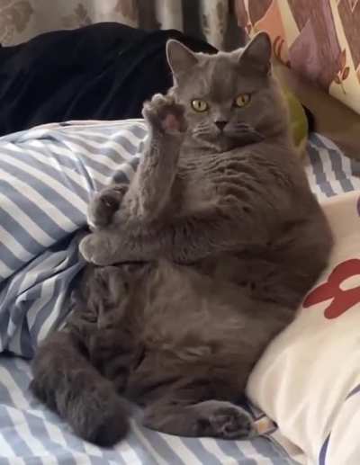 yoga chonker Jouyi