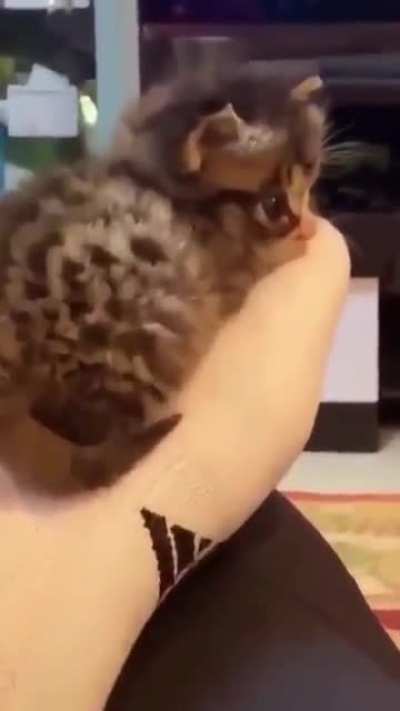 Perfectly Smol