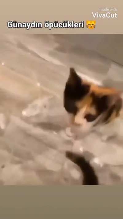 g&uuml;naydın arkadaşlar