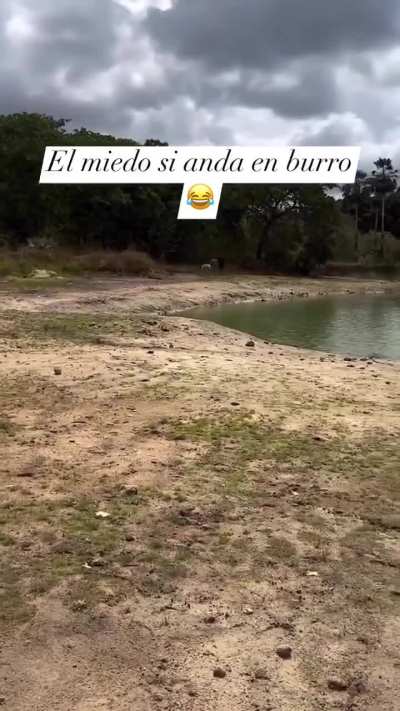 Hay que ser bien burro