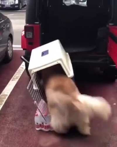 Help the poor guy don&rsquo;t just stand there
