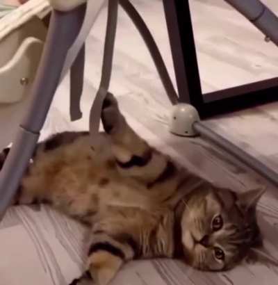 Babysitter Life