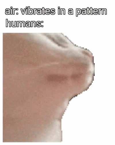 Huumans be groovin