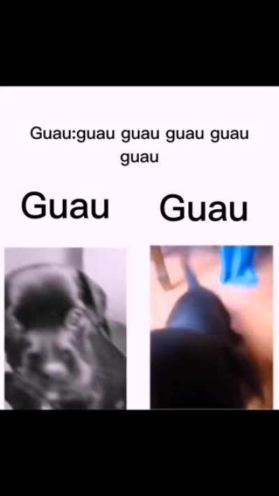 chad
