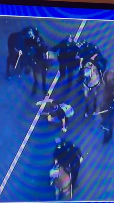 CA is out here giving rabid and undertrained losers a stick and a horse