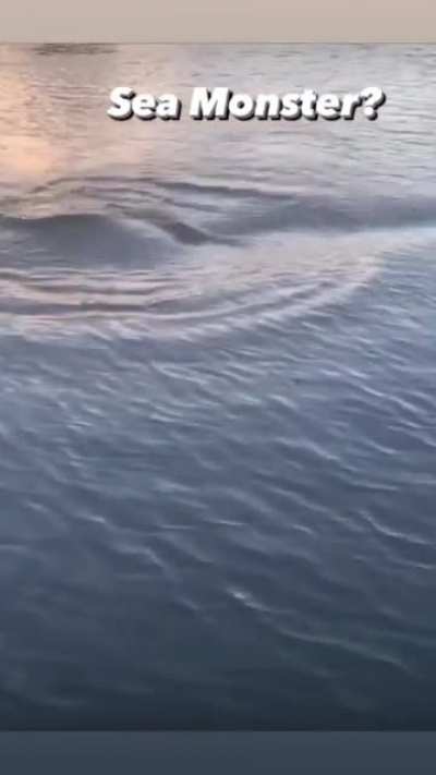 Not knowing what it is is even scarier.