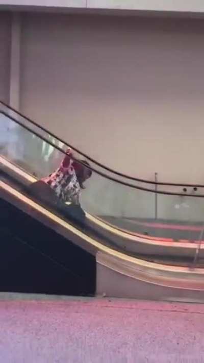Going the wrong way on an esclator