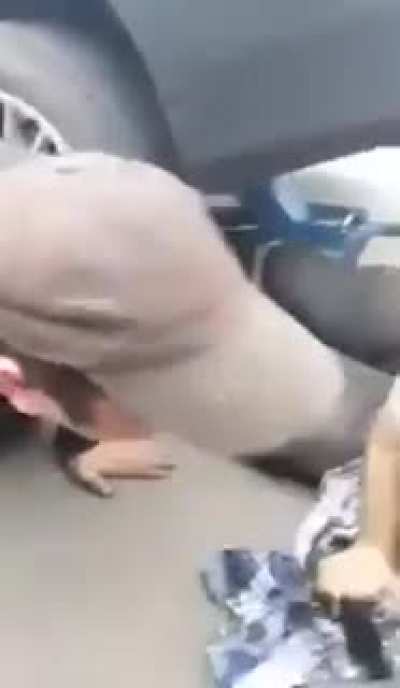 Como &eacute; que esse cara ainda trabalha de mec&acirc;nico. Cr&eacute;ditos:  