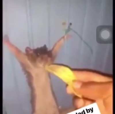 Im dying bruh 😭😭