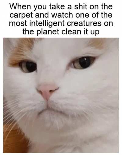 Signature look of superiority