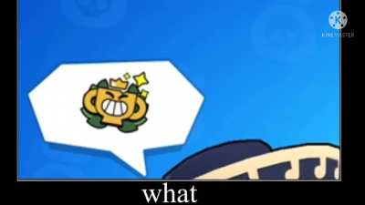 Wait what
