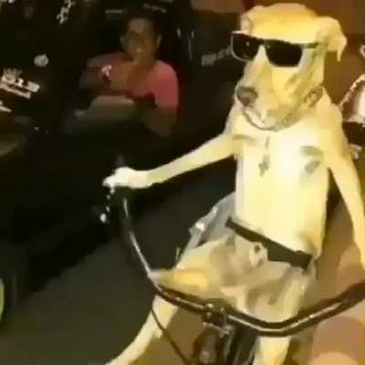 😎
