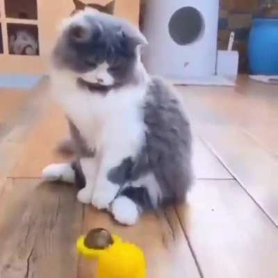 Me when life presents smallest challenge