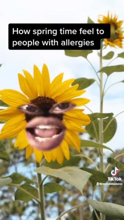 Allergy season is upon us
