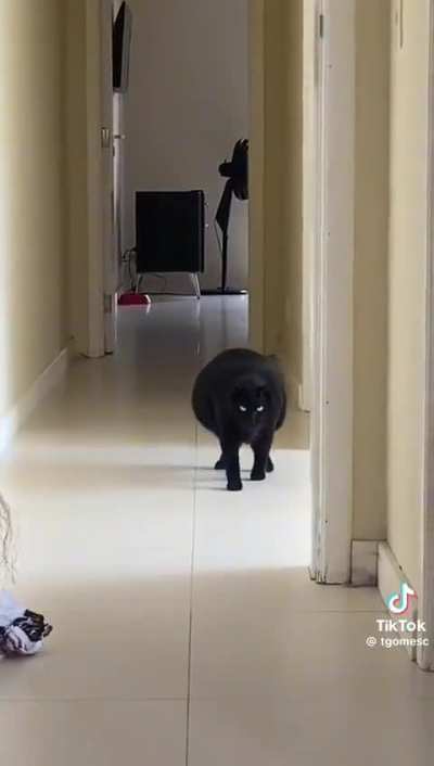 "nada pra comer nessa casa"