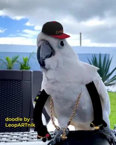 SupBIRB Bling Bling