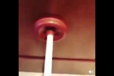 Ã