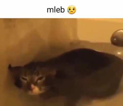 Let&rsquo;s keep posting cute videos