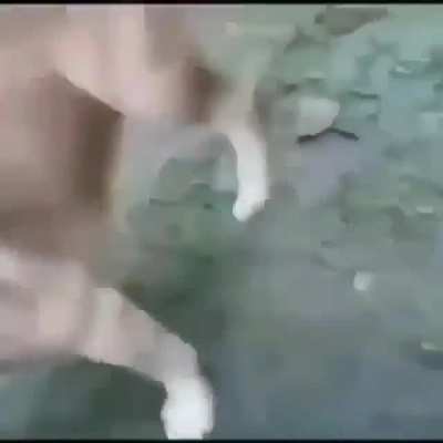 MAMÁAAAA