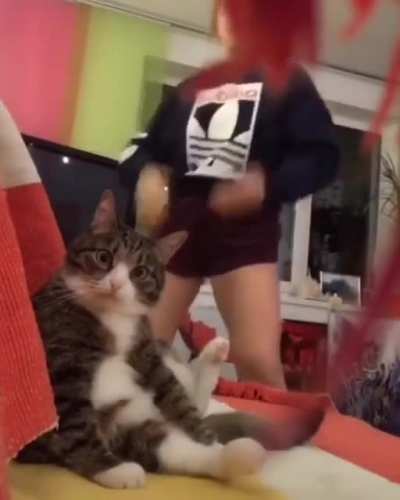 rArE fOOTaGe oF caT's soUL leAvinG Its BOdY! 9 LivEs wAsTed foR tHis.