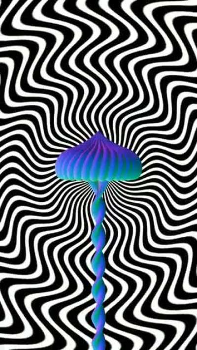 Shrooming Out