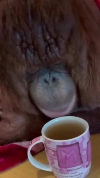 Breakfast served