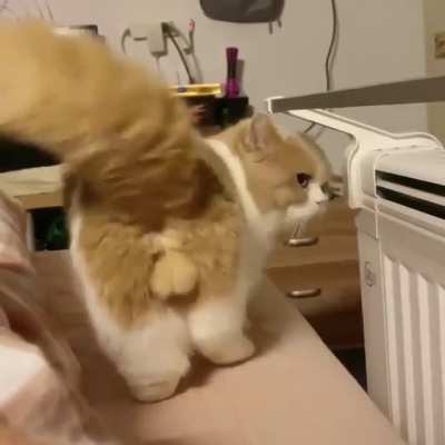 "Зацените мои ЯЙЦА!!!"