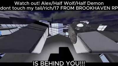 noo alex pls dont hurt my family