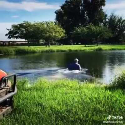pond