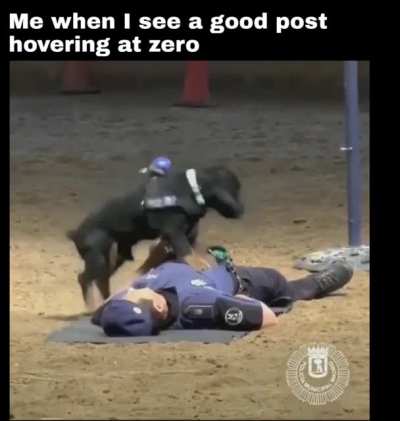 me_irl