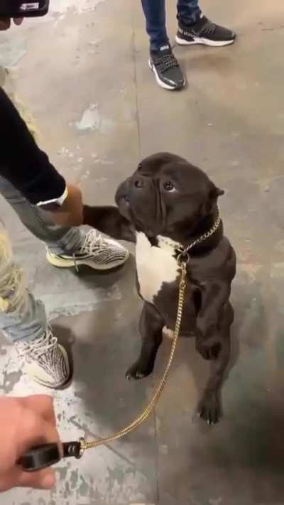 "Why everyone's staring at me?"