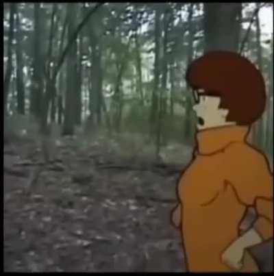 the forest