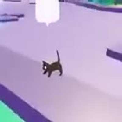 🐈