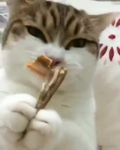 Crunchy Snaking..