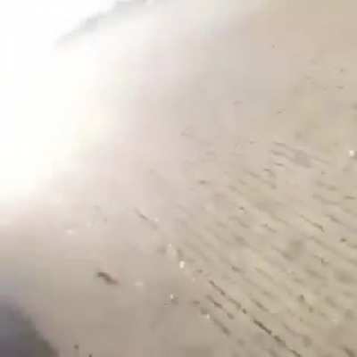 Holy shit