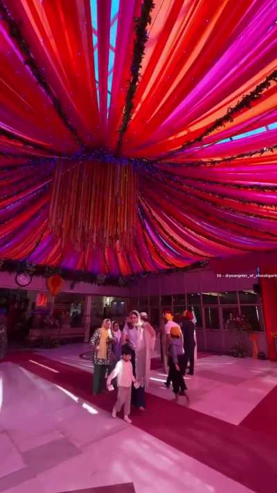 Chandigarh gurdwaras look so peaceful and vibrant during Gurpurab ✨
