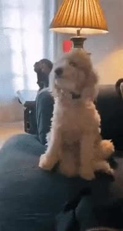 When you&rsquo;re REALLY excited.