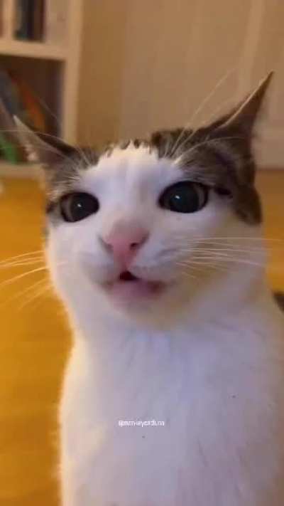 E E E E E