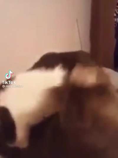 AAAAA