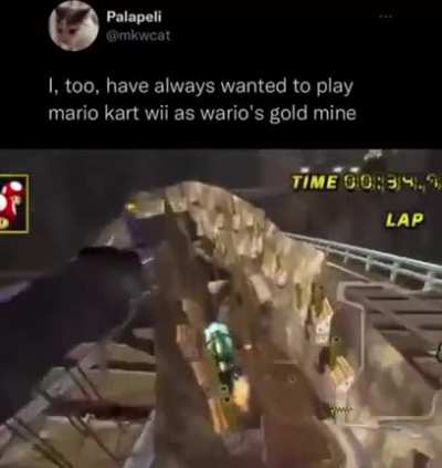 Wario's Gold Mine