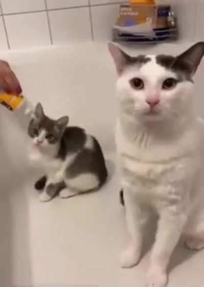 Not one scratch