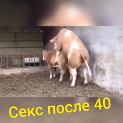 Эх...