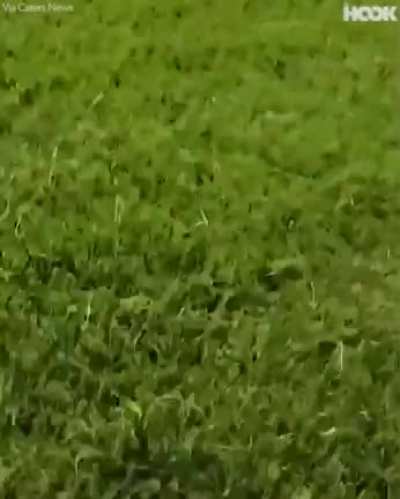 iNnoCeNt mAn ATTACKED AND MAULED TO DEATH by VISCOUS GANG OF CRIMINALS