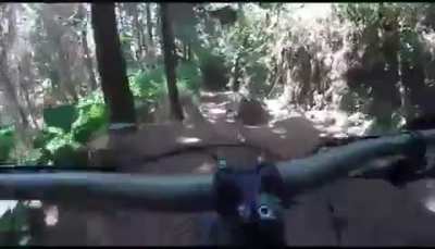 A Bike Ride with a Romantic Surprise