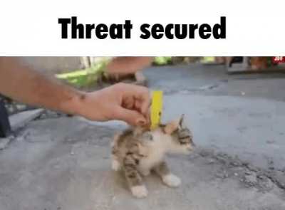 Rule secured