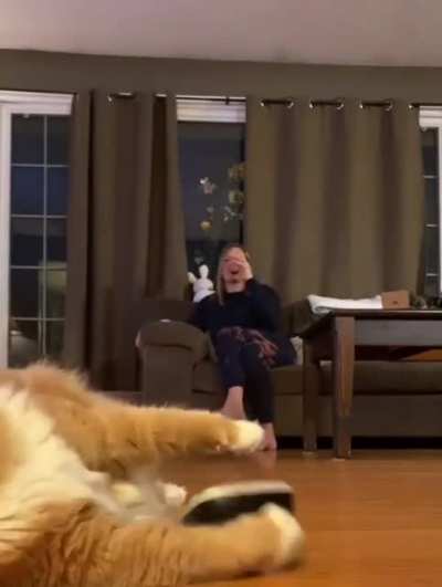 Уж полночь близится, а ужина всё нет...