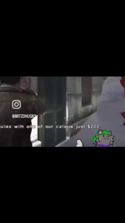 Furry_irl