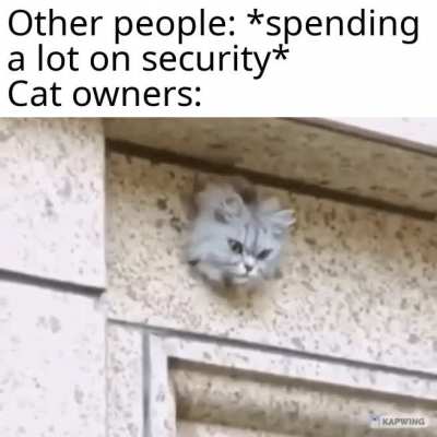 if it fits, i sits