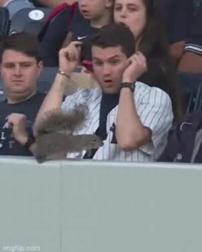 Not Rally Squirrel