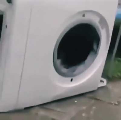 Когда купил не тот порошок
